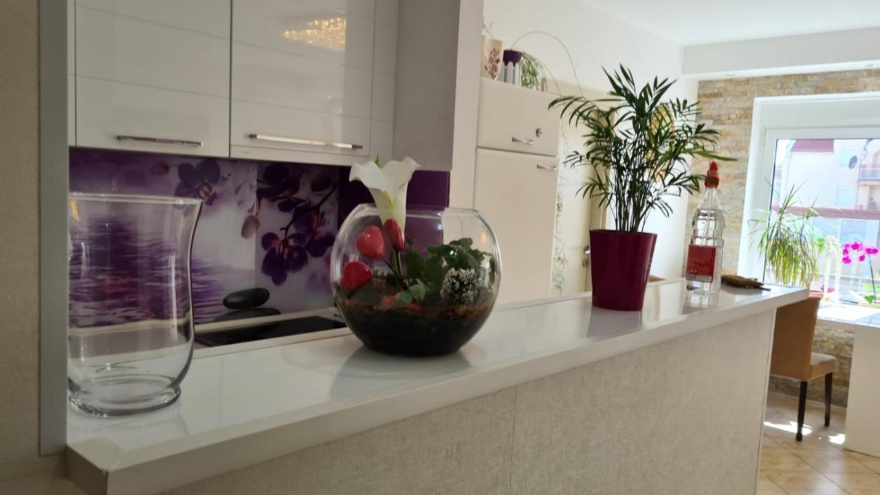 Apartman Anja Stara Pazova Exterior photo