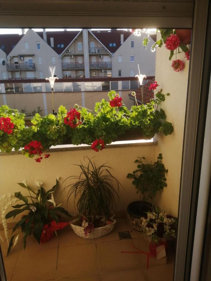 Apartman Anja Stara Pazova Exterior photo